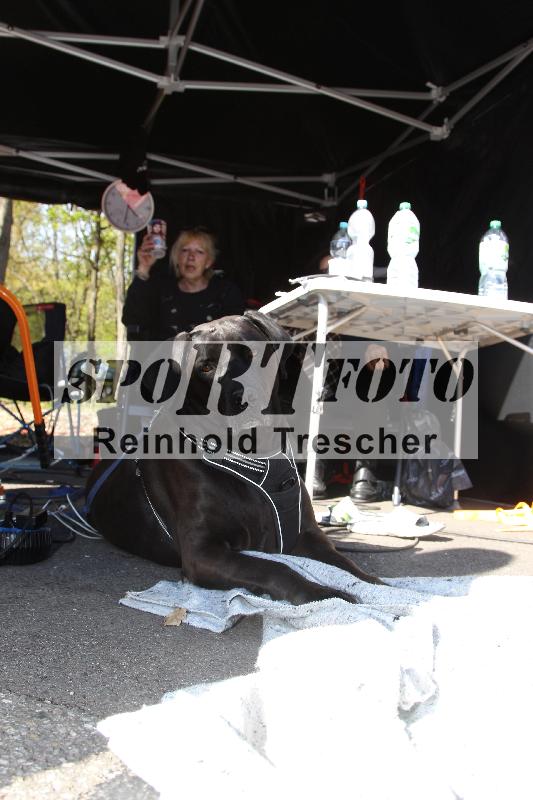 /Archiv-2025/07 19.04.2025 Speer Racing ADR/Impressionen